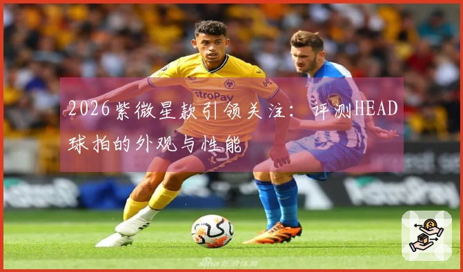 2026紫微星款引领关注：评测HEAD球拍的外观与性能